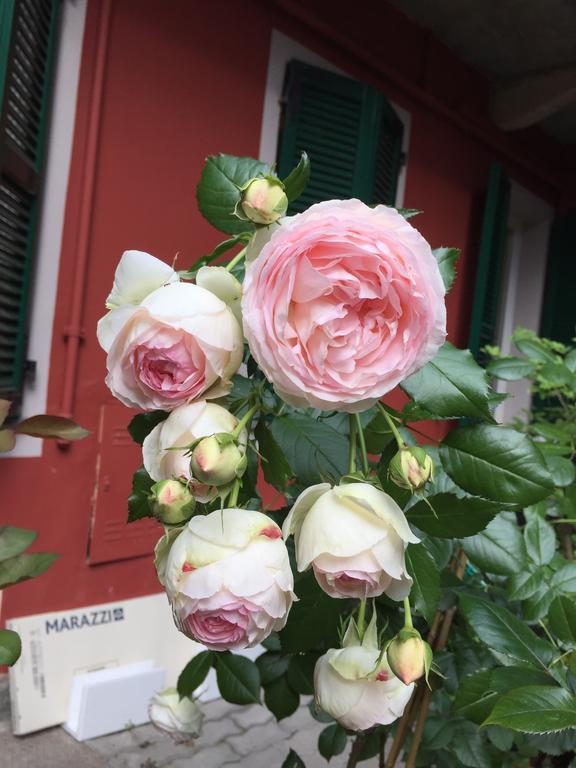 B&B Arcobaleno 알레산드리아 외부 사진