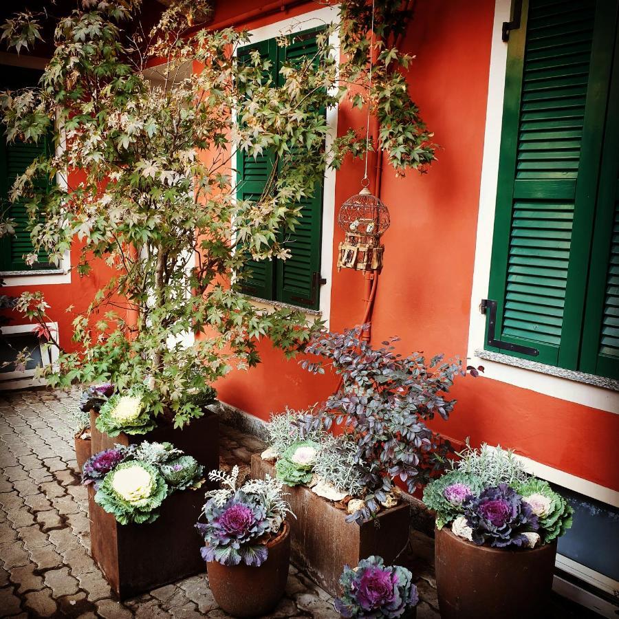 B&B Arcobaleno 알레산드리아 외부 사진